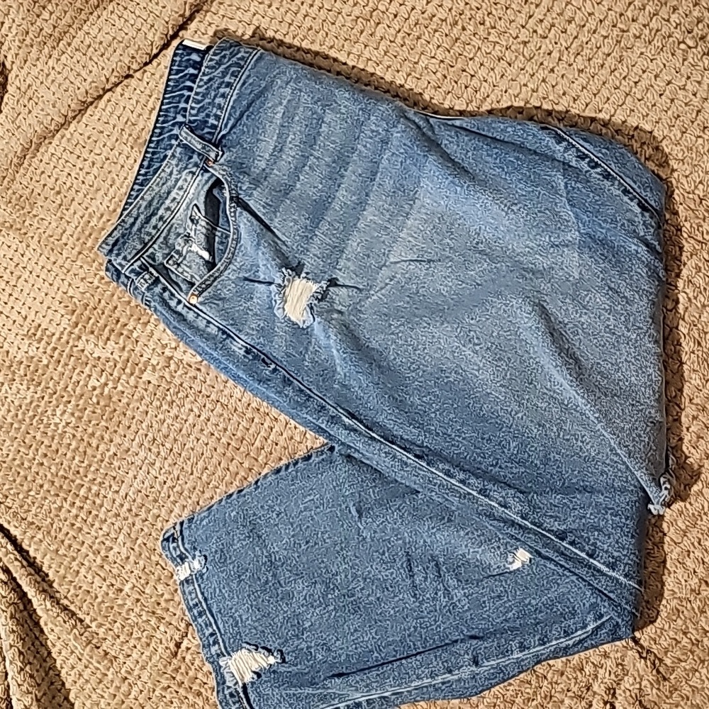 Lane Bryant Jeans
